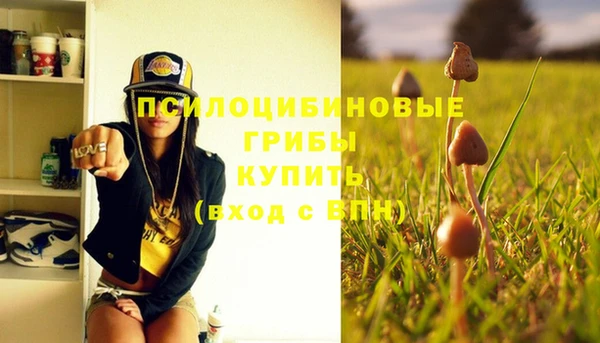 эйфоретик Липки